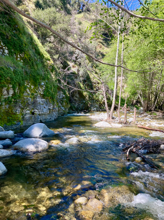 New Waters