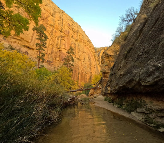 Become a Better Backcountry Angler