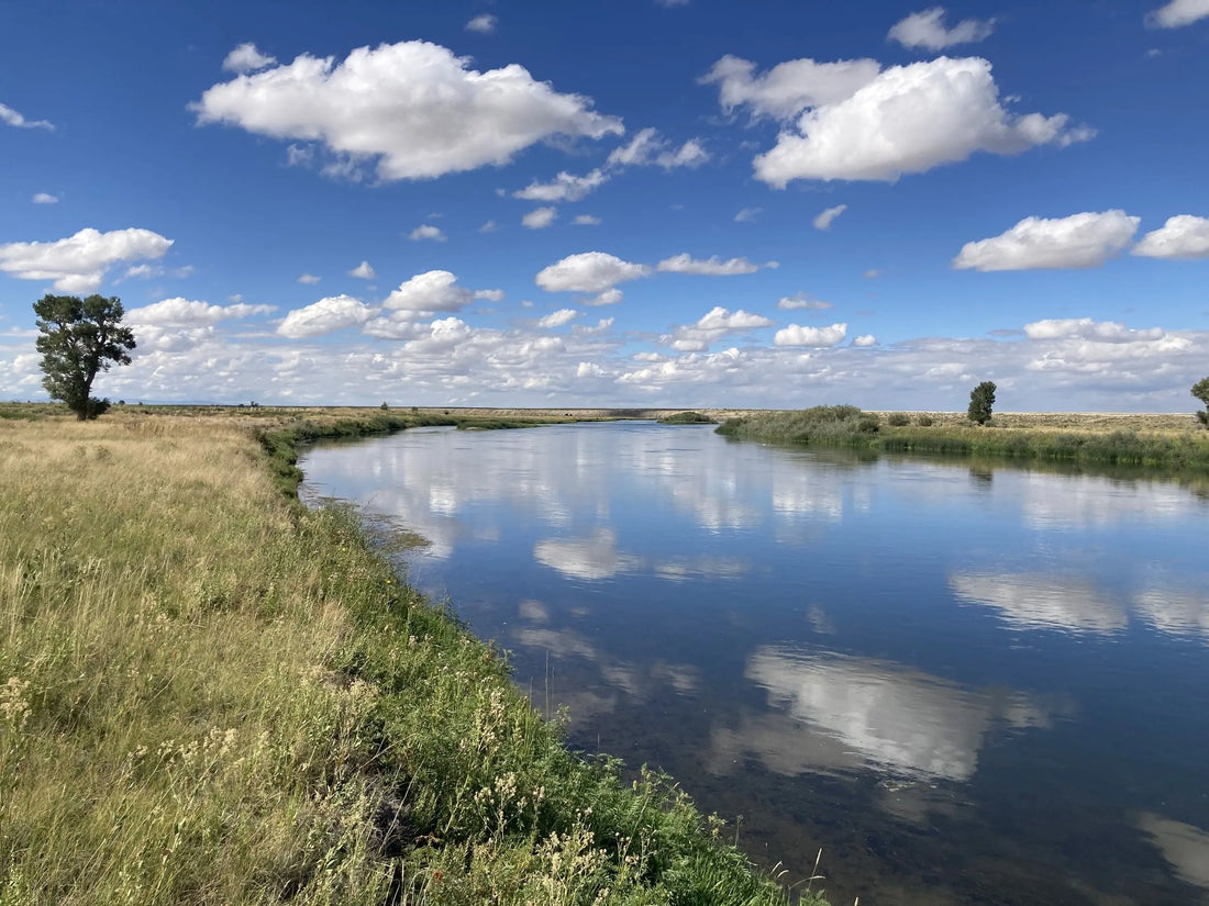 Thoughts on the Road