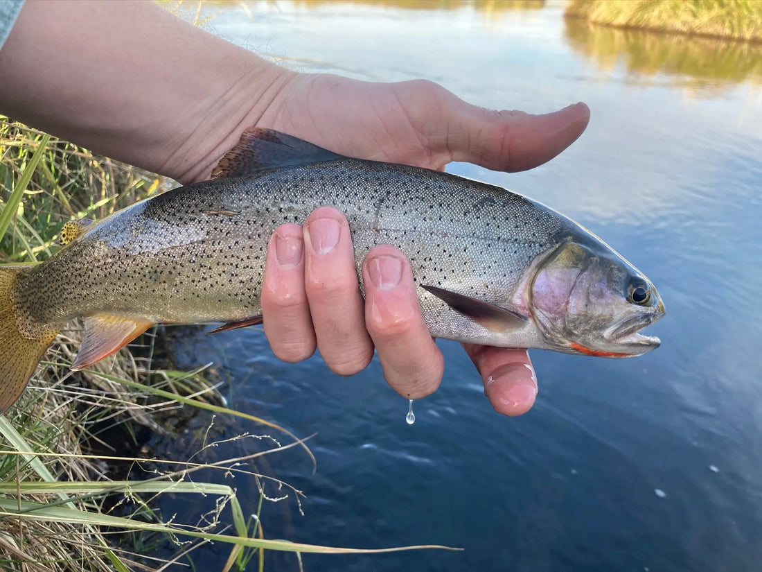 Fishing Isn't Luck