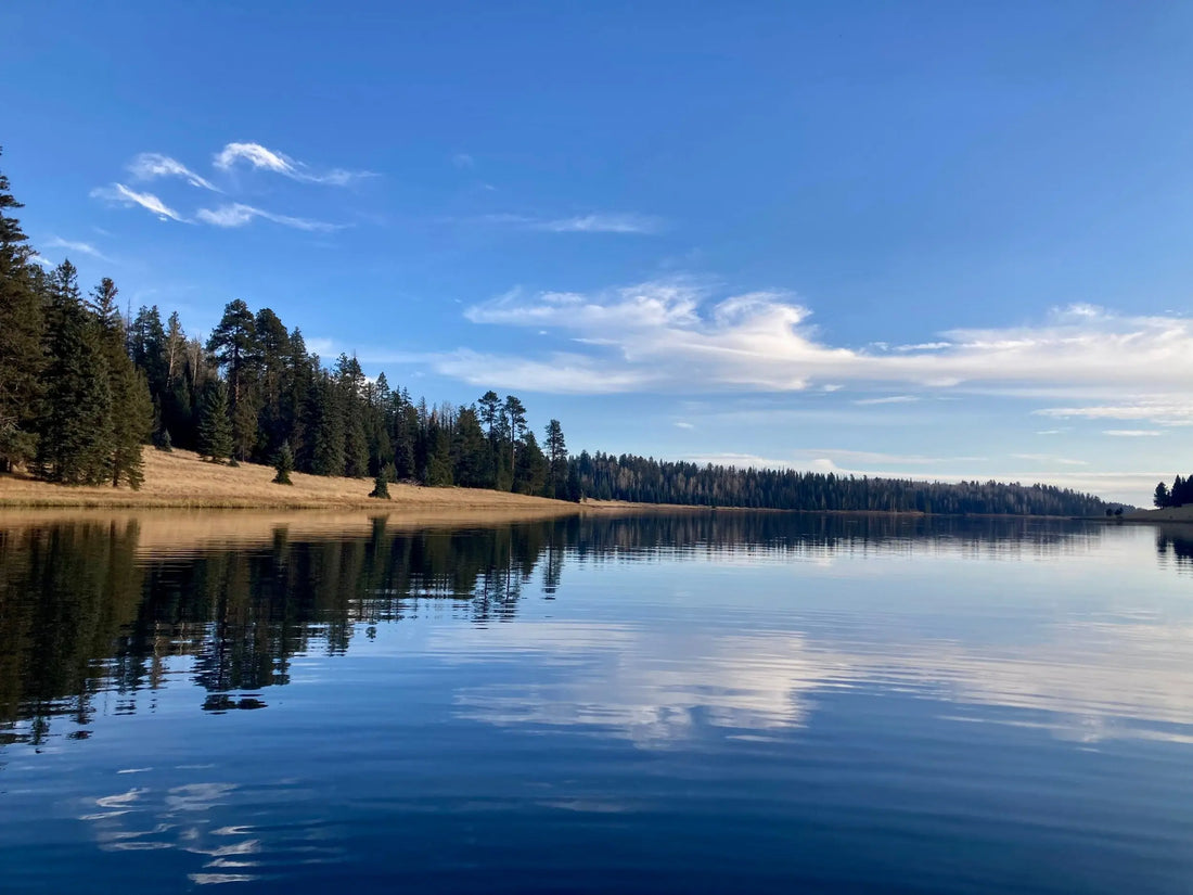 Trip Report: On the Hunt for Browns in the Whites