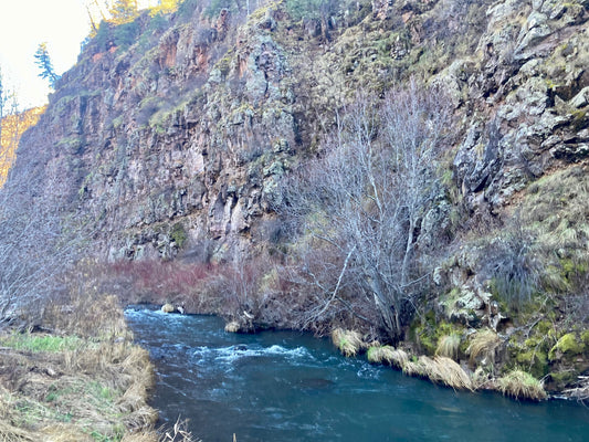 Arizona White Mountains