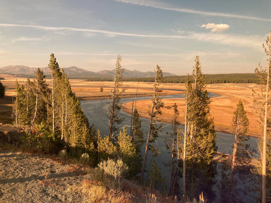 Yellowstone River