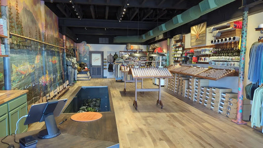 Shop Spotlight: Pheasant Tail